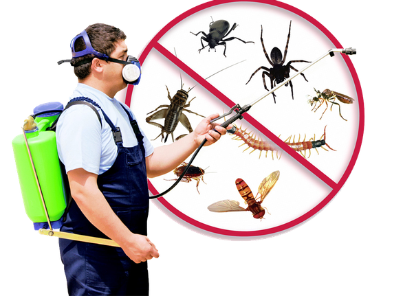 Pest Control Services Virgil IL