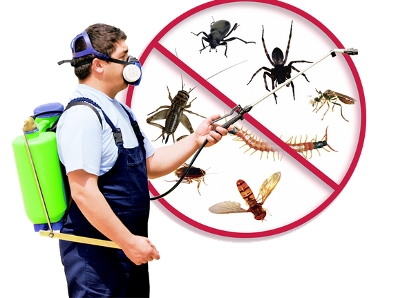 Pest Control Services West Chicago IL