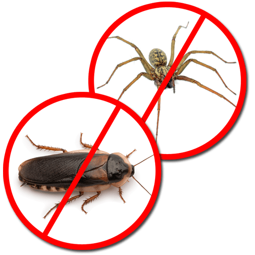 Pest Control Services West Chicago IL