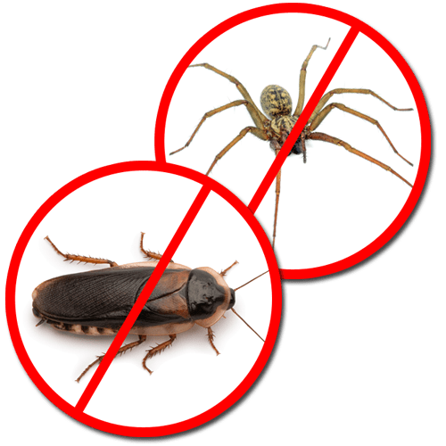 Pest Control Wedron IL