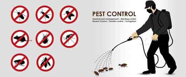 Emergency Pest Control South Beloit IL