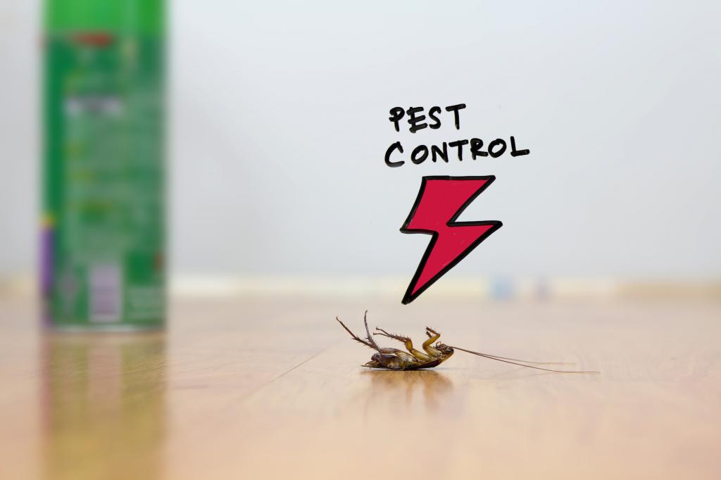 Pest Control Rantoul IL