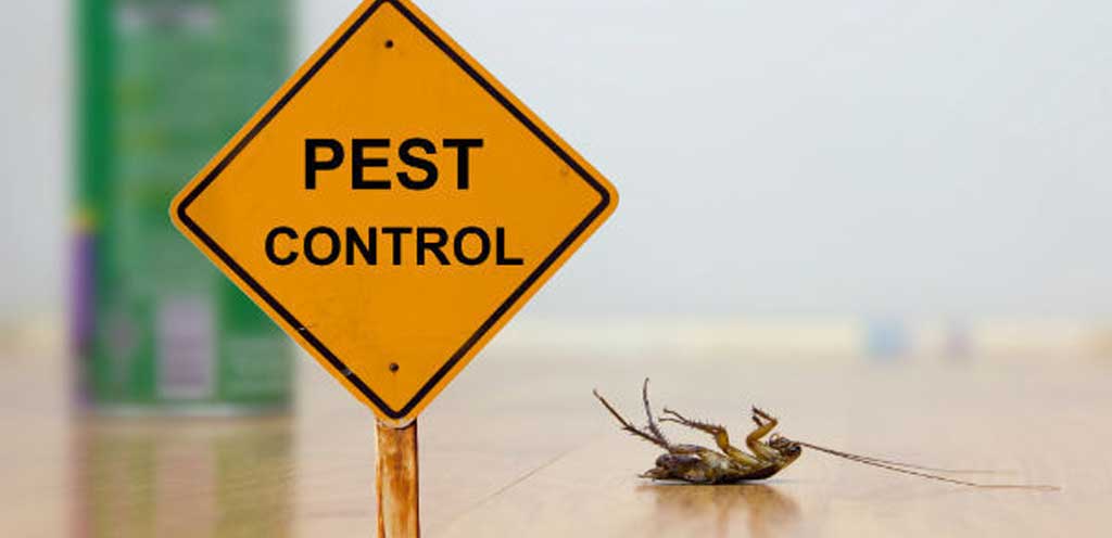 Pest Control Services King City MO