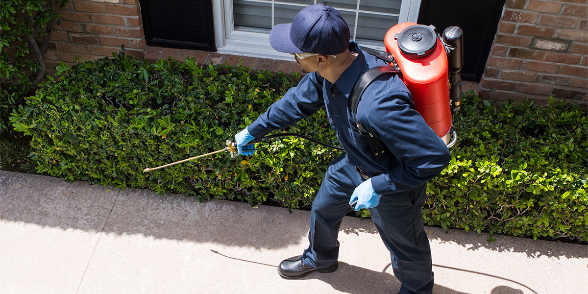 Pest Control Services Sanders AZ