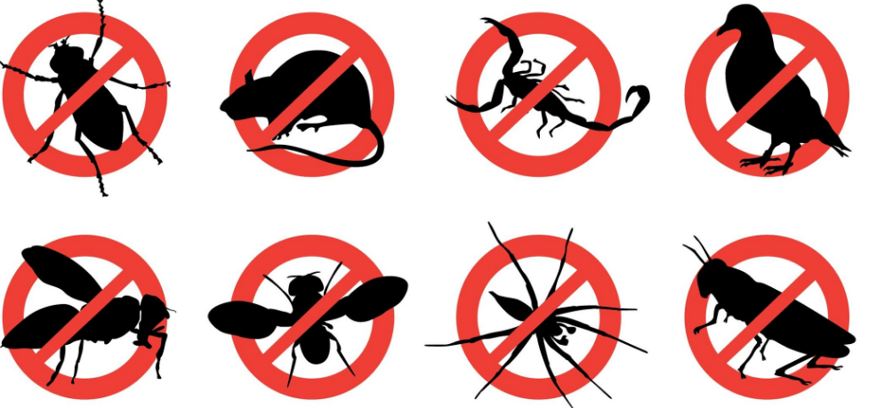 Pest Control Services Tijeras NM