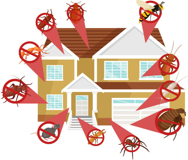 Pest Control Services Raisin CA