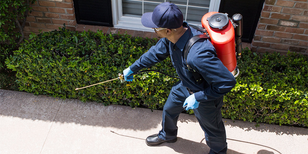 Pest Control Services Mauckport IN