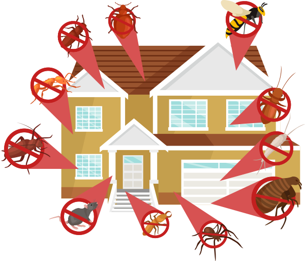 Pest Control Glendale Heights IL