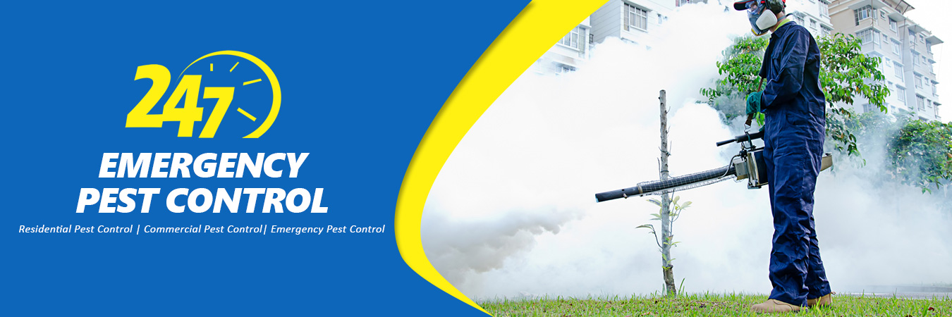 Pest Control Services in Cantril IA