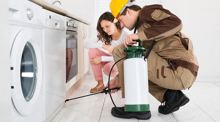 Pest Control Services in Watertown MA